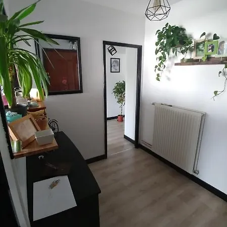 Apartment Du Centre